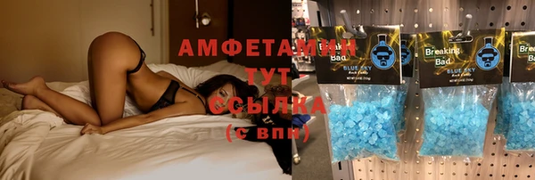 ПСИЛОЦИБИНОВЫЕ ГРИБЫ Алексин