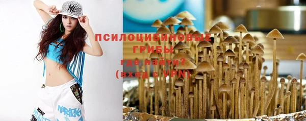 ПСИЛОЦИБИНОВЫЕ ГРИБЫ Алексин